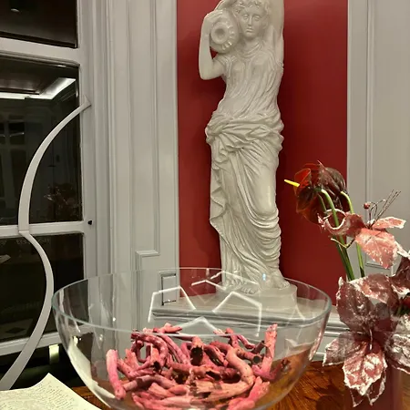 嘉尼艺术洛夫特酒店 酒店 4*